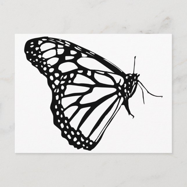 Monarch Butterfly Postkarte (Vorderseite)