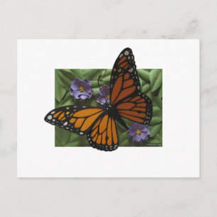 Monarch Butterfly Postkarte