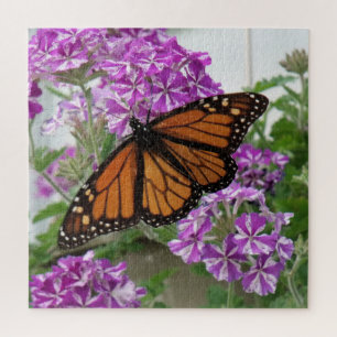 Monarch Butterfly Puzzle