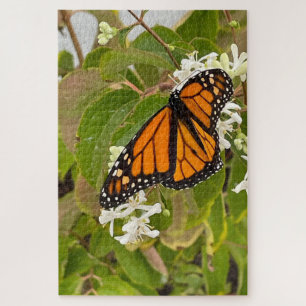 Monarch Butterfly Puzzle