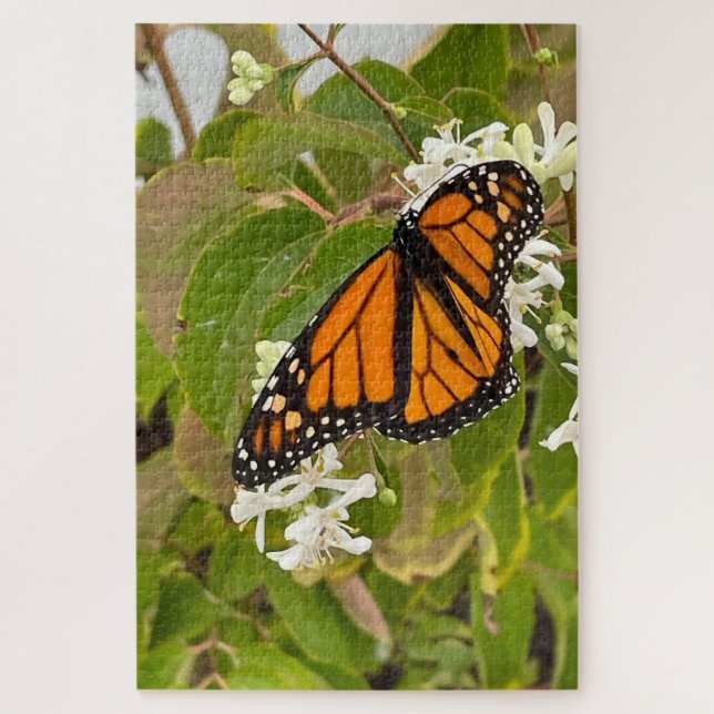 Monarch Butterfly Puzzle (Vertikal)