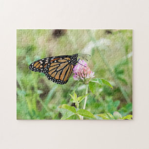 Monarch Butterfly Puzzle
