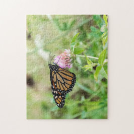 Monarch Butterfly Puzzle
