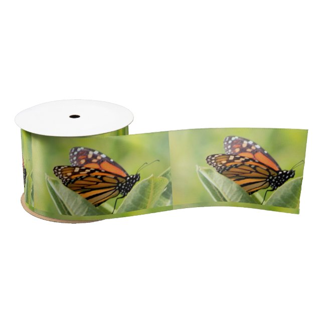 Monarch Butterfly Ribbon Satinband (Spule)