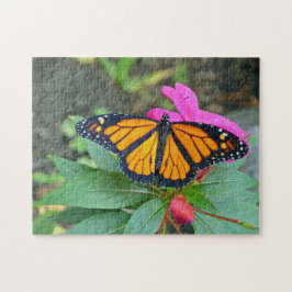Monarch Butterfly Rosa Foto Puzzle