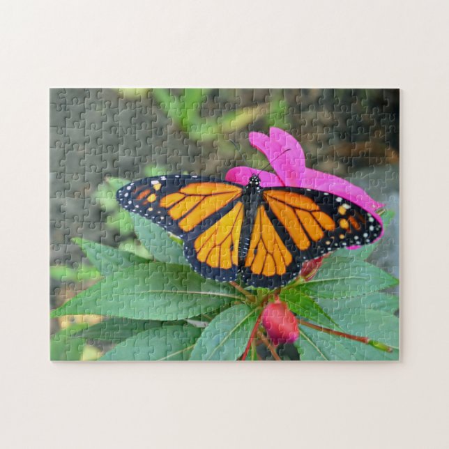 Monarch Butterfly Rosa Foto Puzzle (Horizontal)