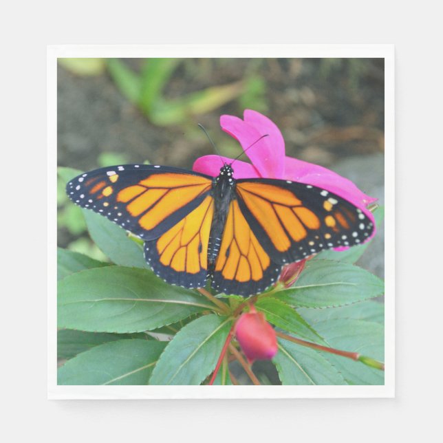 Monarch Butterfly Rosa Foto Serviette (Vorderseite)
