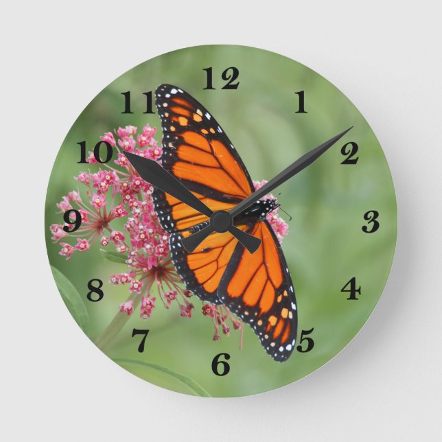 Monarch Butterfly Runde Wanduhr (Vorderseite)