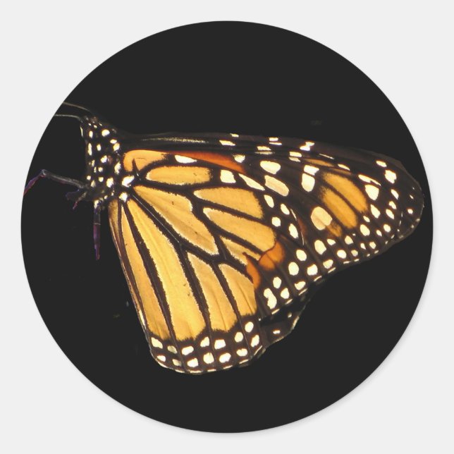 Monarch Butterfly Runder Aufkleber (Vorderseite)