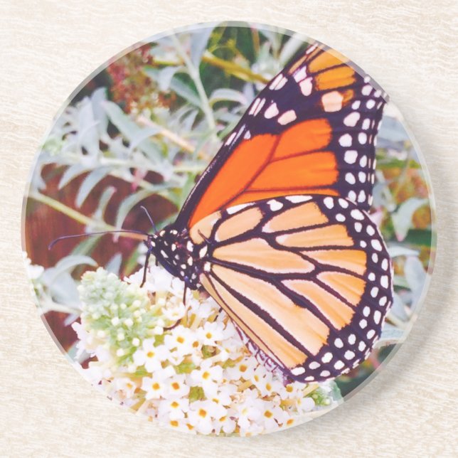 Monarch Butterfly Sandstein Untersetzer (Vorne)