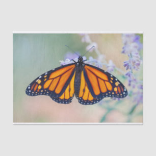 Monarch Butterfly Seidenpapier