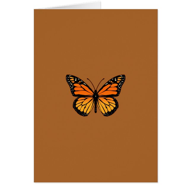 Monarch Butterfly Sensation (Vorne)