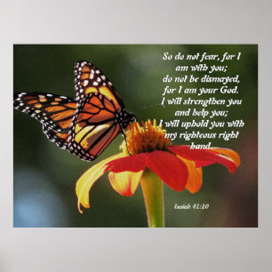 Monarch Butterfly Sonnenblume Blume Poster
