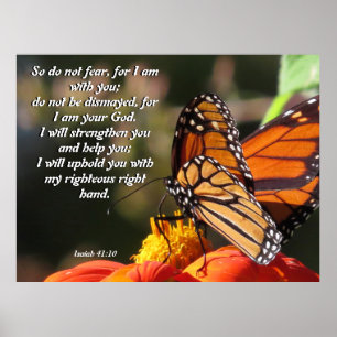 Monarch Butterfly Sonnenblume Blume Poster