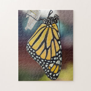 Monarch Butterfly Trocknen Flügel Puzzle