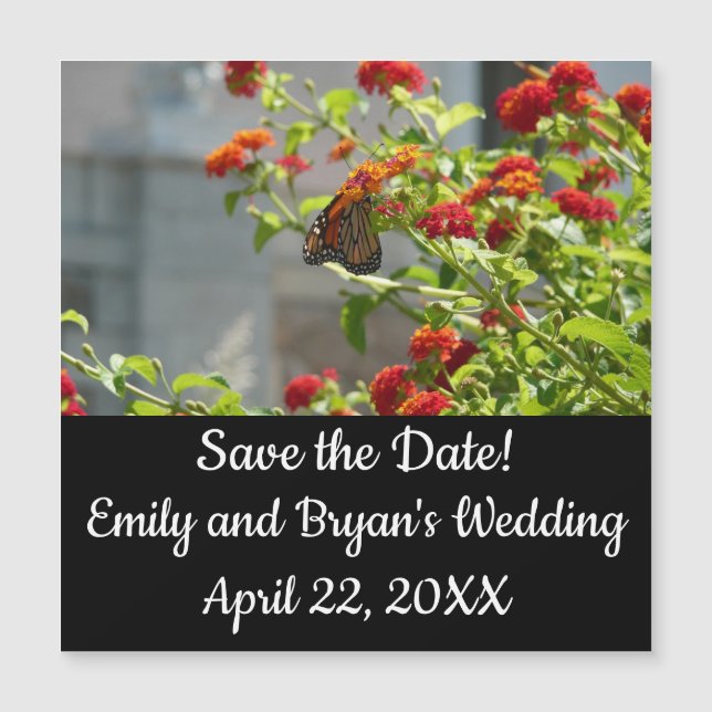 Monarch Butterfly über den Roten Schmetterling Bus Magnetkarte (Vorderseite)