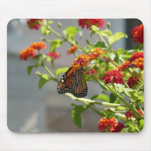 Monarch Butterfly über den Roten Schmetterling Bus Mousepad (Vorne)