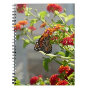 Monarch Butterfly über den Roten Schmetterling Bus Notizblock