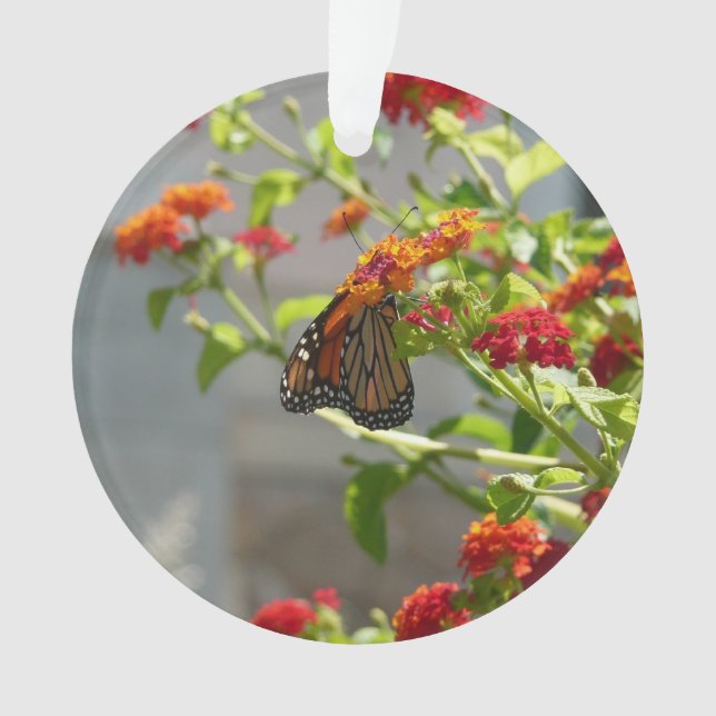 Monarch Butterfly über den Roten Schmetterling Bus Ornament (Vorderseite)