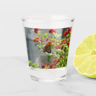 Monarch Butterfly über den Roten Schmetterling Bus Schnapsglas