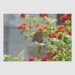 Monarch Butterfly über den Roten Schmetterling Bus Seidenpapier
