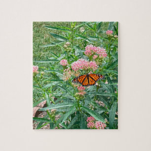 Monarch Butterfly über die Milkweed Puzzle