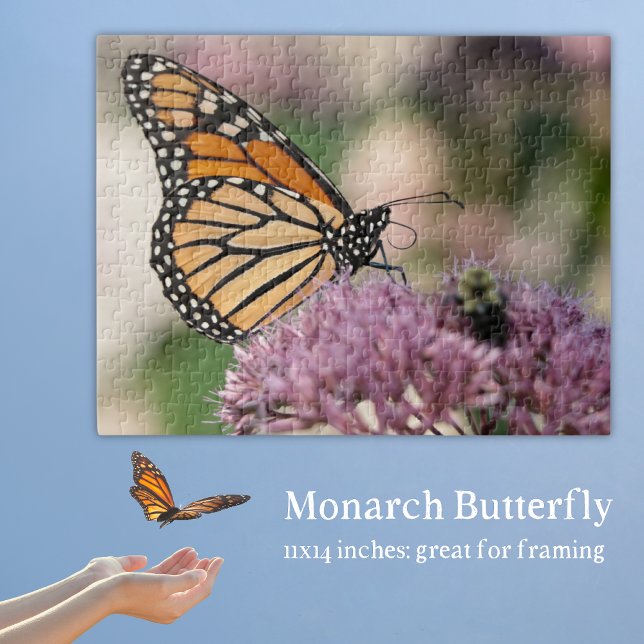 Monarch Butterfly über die natürliche Wildblume Puzzle (Monarch Butterfly Puzzle with a monarch on Ohio native wildflower joe pye weed.)