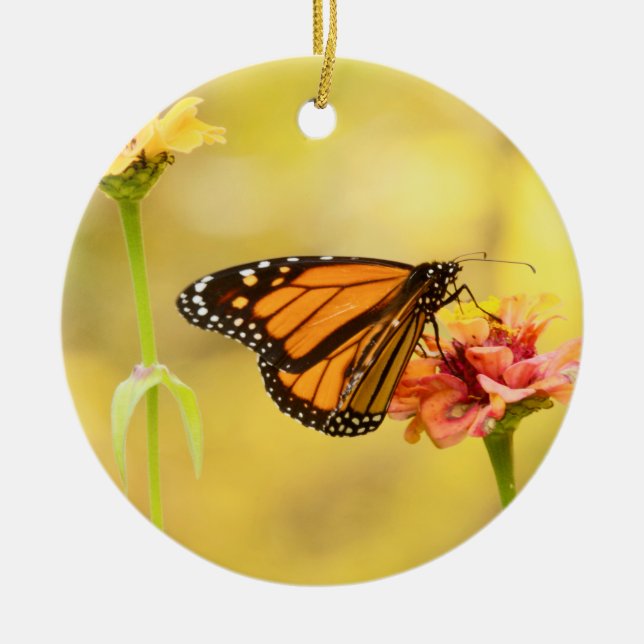 Monarch Butterfly über Zinnia Keramikornament (Vorne)
