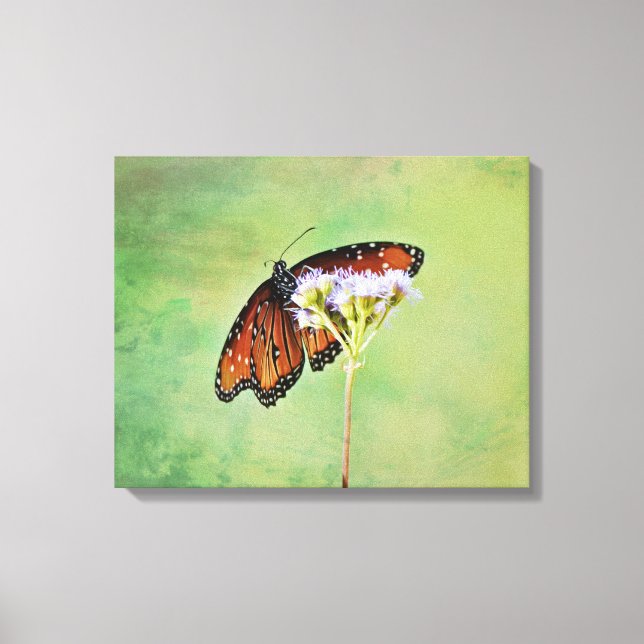 Monarch Butterfly und Blume Leinwand Art Print (Vorderseite)