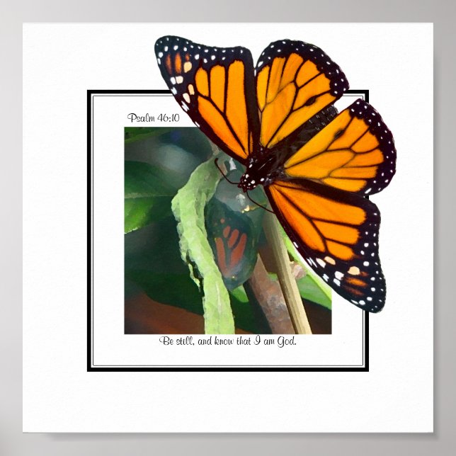 Monarch Butterfly und Chrysalis Art Poster (Vorne)