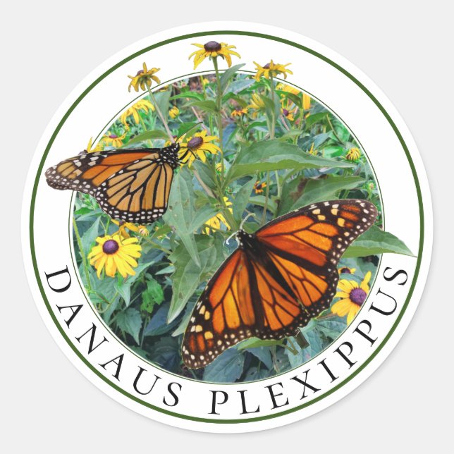 Monarch Butterfly und Mit Augen Schwarze Susan Rud Runder Aufkleber (Vorderseite)