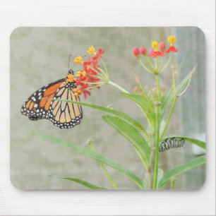 Monarch Butterfly und Raupe Mousepad