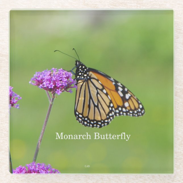 Monarch Butterfly Untersetzer (Vorderseite)