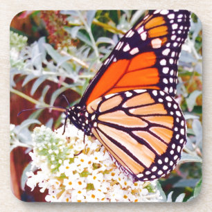 Monarch Butterfly Untersetzer