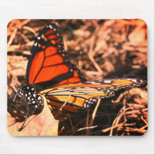 Monarch Butterfly versinnbildlicht Natur Mousepad