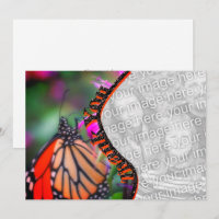 Monarch Butterfly Vielen Dank Foto-Karte