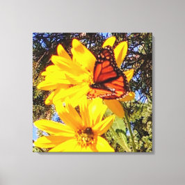 Monarch Butterfly Wrapped Canvas Leinwanddruck