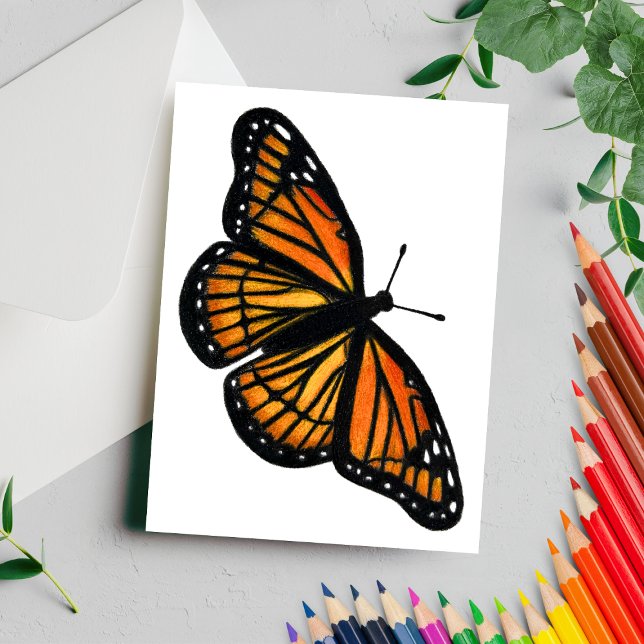 Monarch Butterfly Zeichne Farbstift Postkarte (Von Creator hochgeladen)