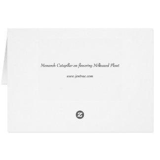 Monarch Catepillaar über die blühende Milchweh-Pfl