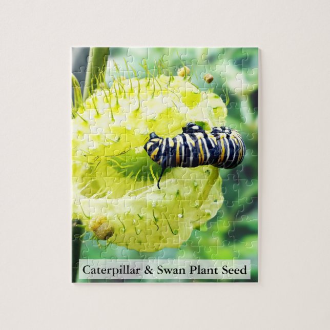 Monarch Caterpillar & Swan Plant Seed 110 Pcs Puzzle (Vertikal)