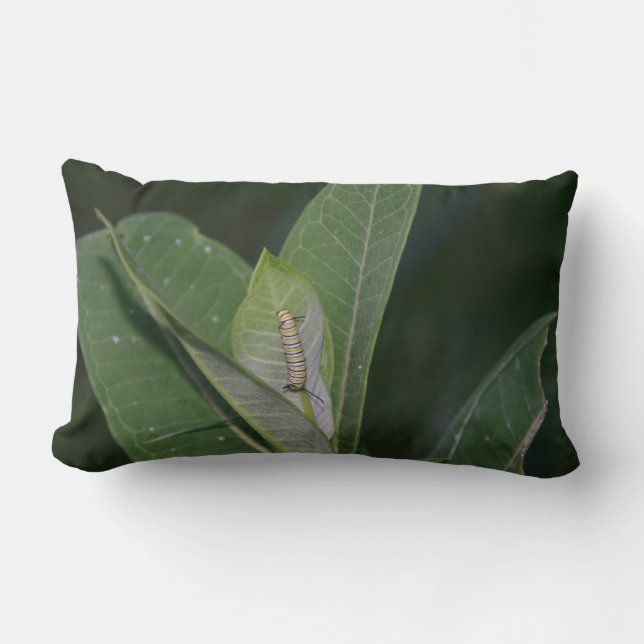 Monarch Caterpillow Lendenkissen (Vorderseite)