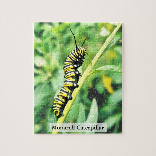 Monarch-Falter-Raupen-Fütterung 110 Teile Puzzle (Vertikal)