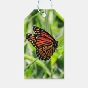 Monarch Geschenkanhänger