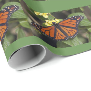 Monarch Geschenkpapier