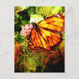 Monarch Grunge Postkarte