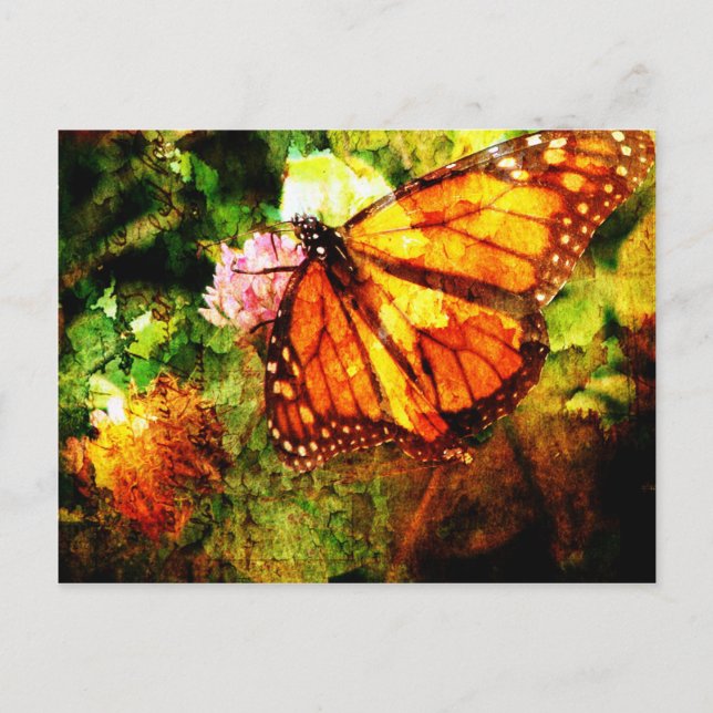 Monarch Grunge Postkarte (Vorderseite)
