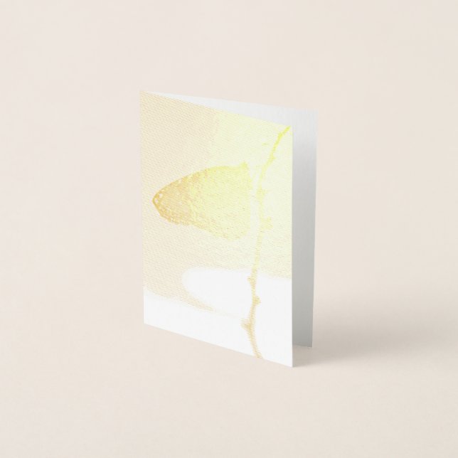 Monarch im Morgenlicht Folienkarte (Vorderseite)