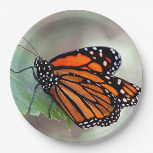 Monarch in Ruhe Pappteller