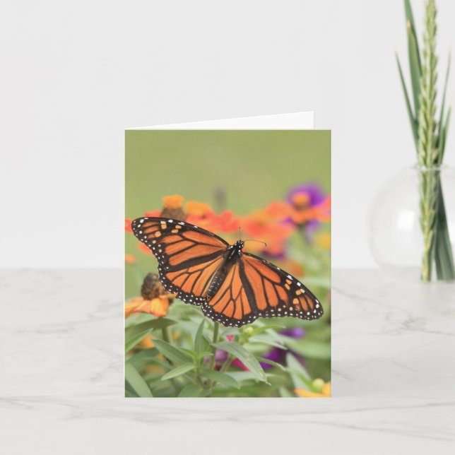 Monarch Karte (Vorderseite)