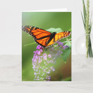 Monarch Karte-Fertigen es besonders an! Karte